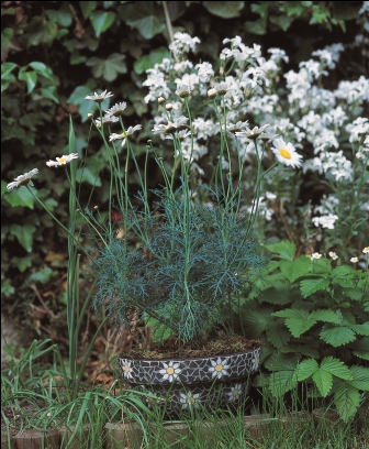 Daisy Mosaic Pot