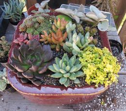 Finished Arrangement