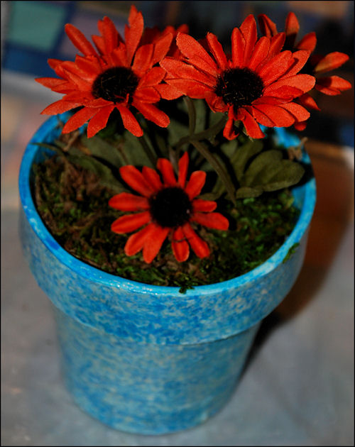 Complete Flower Pot Gift