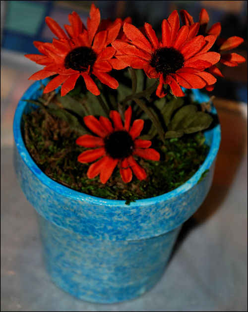Complete Flower Pot Gift