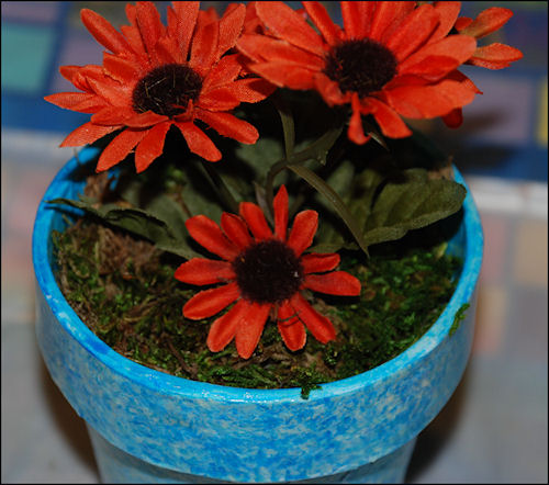 Flower Pot Gift