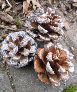 Pine Cone Glitter Ballerinas 3