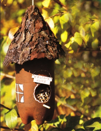 Plastic Bottle Bird Feeder