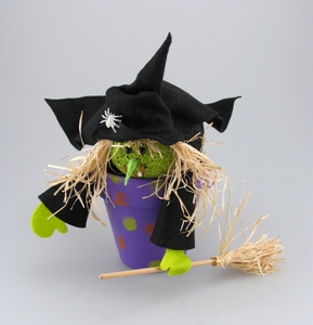 Broomstick Witch