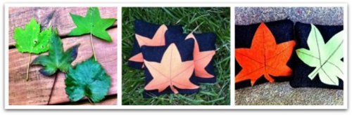 Fun Fall Bag Toss Game