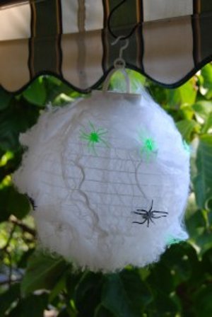 Hanging Spider Nest