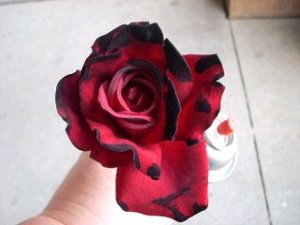 Make Dead Roses