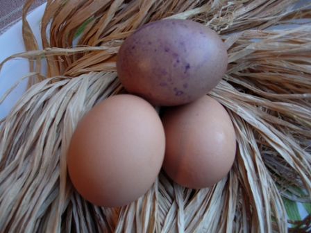 Natural Dyed Easter Eggs