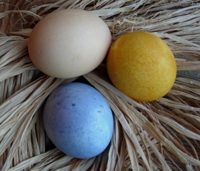 Natural Dyed Easter Eggs