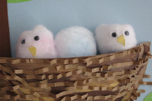 Fluffy Nesting Chicks