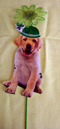 St. Patrick Dog Image
