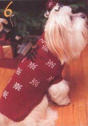 Knit Dog Coat