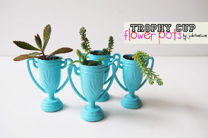 Make a Painted Trohpy Pot