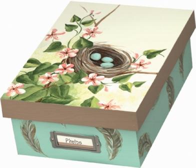 Bird's Nest Photo or Memory Box