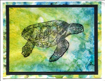 Sea Turtle Card