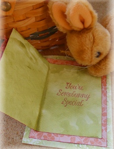 Somebunny Special Card