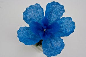 Aqua Tissue Paper Flower