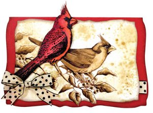 cardinals card