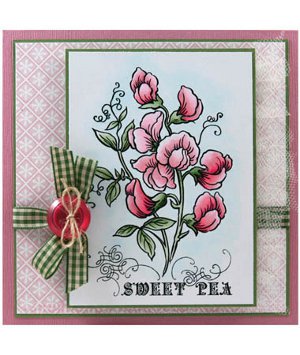 Sweet Pea Card