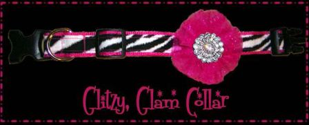 Glitzy Dog Collar