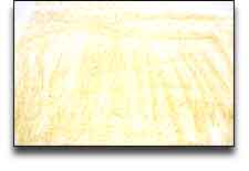 Crayon Painting
