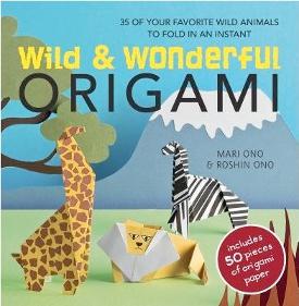 wild and wonderful origami