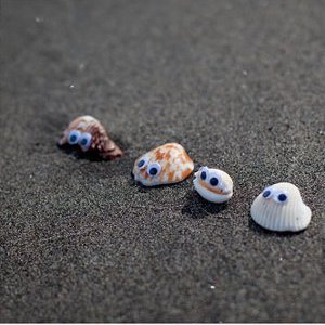Sea Shell Pets