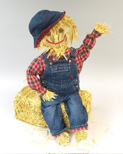 Friendly Scarecrow