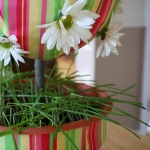 Grass in Daisy and Fabric Topiary