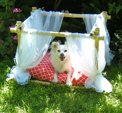 Doggy Bamboo Bed